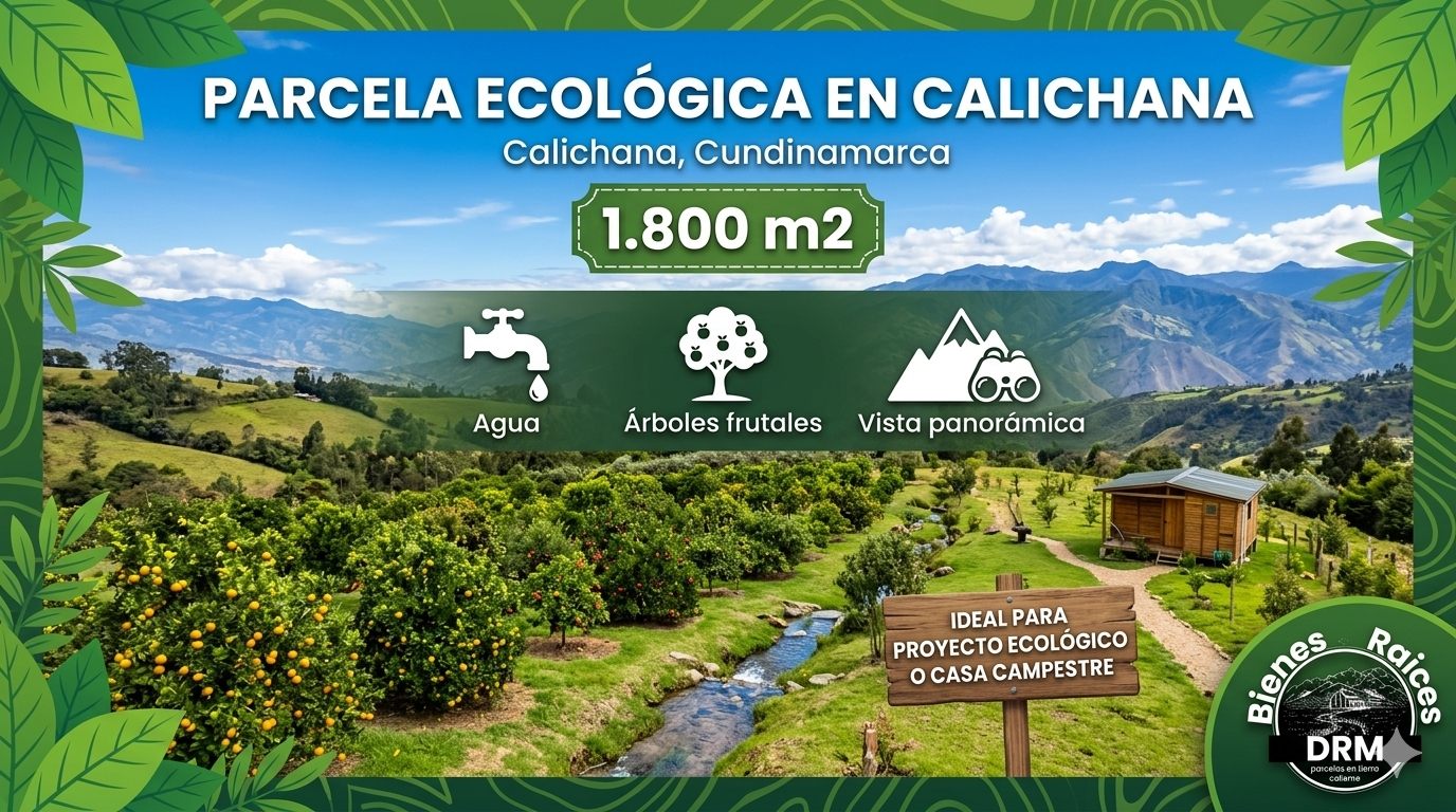 Parcela ecologica en Calichana